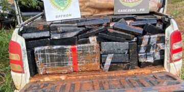 PF, BPFron e BPMOA apreendem 879 quilos de Maconha