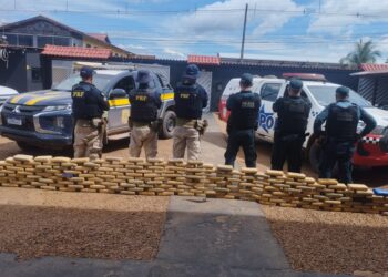 PRF e PM apreendem mais de 200 kg de maconha escondidos em fundo falso de caminhão, em Anapu/PA