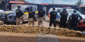 PRF e PM apreendem mais de 200 kg de maconha escondidos em fundo falso de caminhão, em Anapu/PA