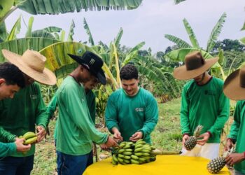 Inscrições para cursos profissionalizantes em bioeconomia, em Porto Velho, seguem até sexta-feira, 6