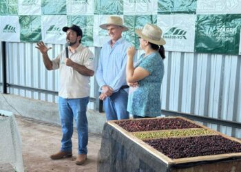 Técnicas usadas pelo Projeto Degusta 80+ são destaques em Dia de Campo, em Rolim de Moura
