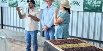 Técnicas usadas pelo Projeto Degusta 80+ são destaques em Dia de Campo, em Rolim de Moura
