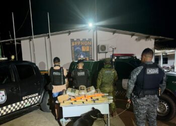 FORÇAS DE SEGURANÇA PÚBLICA APREENDEM GRANDE QUANTIDADE DE DROGAS EM OPERAÇÃO