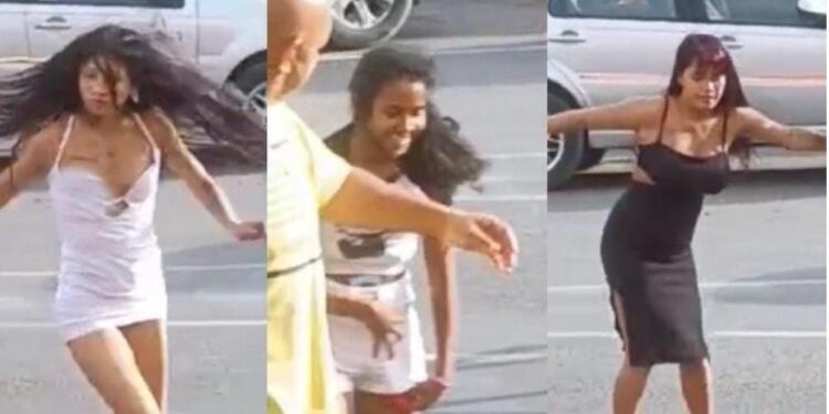 Barraco: lindas beldades protagonizam UFC na Feira do Mutirão após noitada em adega; veja vídeo