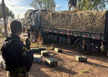 PRF apreende quase meia tonelada de cocaína em caminhão carregado com abacaxi, em Pau D’Arco/PA