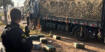 PRF apreende quase meia tonelada de cocaína em caminhão carregado com abacaxi, em Pau D’Arco/PA