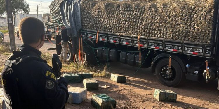 PRF apreende quase meia tonelada de cocaína em caminhão carregado com abacaxi, em Pau D’Arco/PA