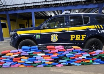 PRF apreende quase 190 kg de skunk escondidos em carga de bebedouros em Vilhena/RO – VEJA O VÍDEO