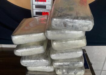 Porto Velho: Casal é preso com 24 quilos de skunk quando ia para São Paulo