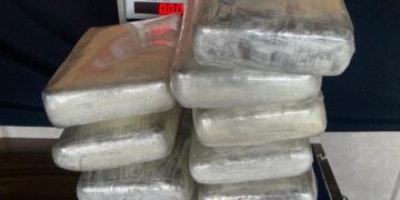 Porto Velho: Casal é preso com 24 quilos de skunk quando ia para São Paulo