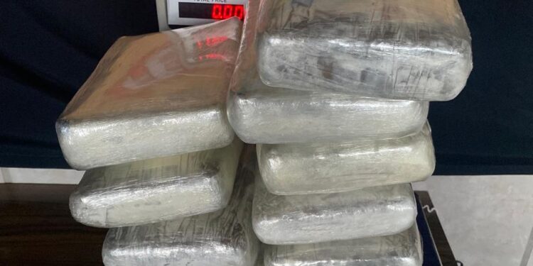 Porto Velho: Casal é preso com 24 quilos de skunk quando ia para São Paulo