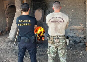 PF realiza incineração de 400kg de entorpecentes em Guajará-Mirim/RO