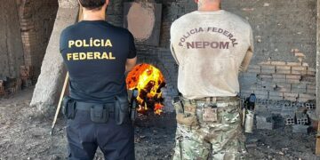 PF realiza incineração de 400kg de entorpecentes em Guajará-Mirim/RO