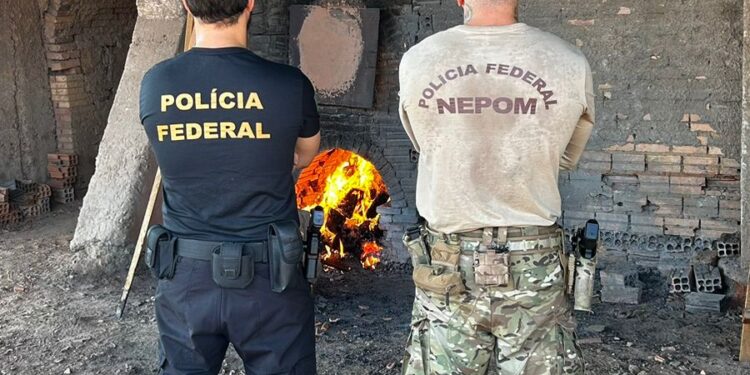 PF realiza incineração de 400kg de entorpecentes em Guajará-Mirim/RO