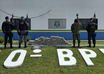 FORÇAS DE SEGURANÇA PRENDEM DUPLA COM QUASE 50 KG DE SKUNK DURANTE OPERAÇÃO NO INTERIOR DO ESTADO