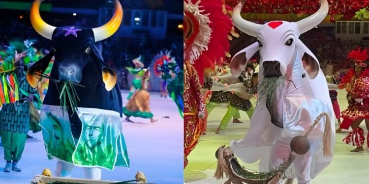 Caprichoso ou Garantido? Apuração do Festival de Parintins acontece nesta segunda-feira (30)