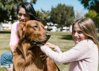 Medicina veterinária preventiva: benefícios além da saúde animal