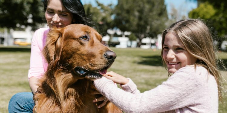 Medicina veterinária preventiva: benefícios além da saúde animal