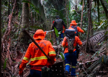 Rondônia constrói cenário mais seguro e preparado para combate a incêndios florestais em 2025