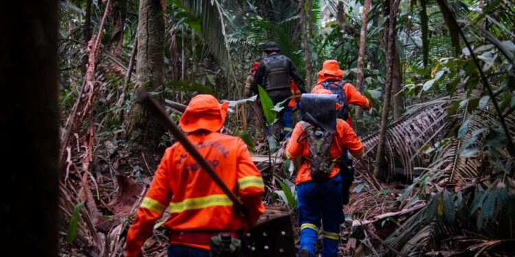 Rondônia constrói cenário mais seguro e preparado para combate a incêndios florestais em 2025