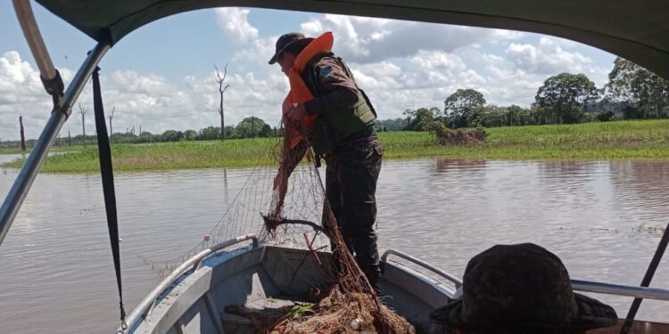 Operação Meio Ambiente: Polícia Ambiental apreende redes ilegais no distrito de Jaci Paraná