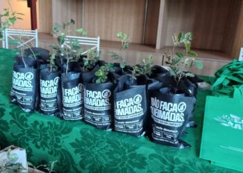 Final de Semana Sustentável tem início nesta sexta-feira com programação voltada a educação ambiental