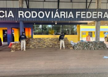 PRF realiza maior apreensão de drogas de sua história em Rondônia