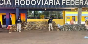 PRF realiza maior apreensão de drogas de sua história em Rondônia