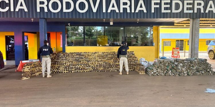 PRF realiza maior apreensão de drogas de sua história em Rondônia