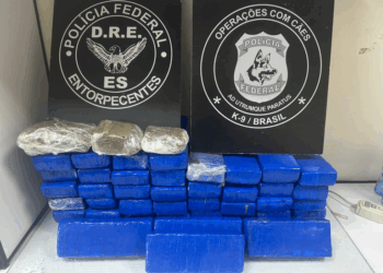 PF deflagra operação em combate ao tráfico de drogas via serviço postal