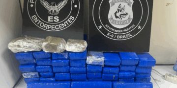 PF deflagra operação em combate ao tráfico de drogas via serviço postal
