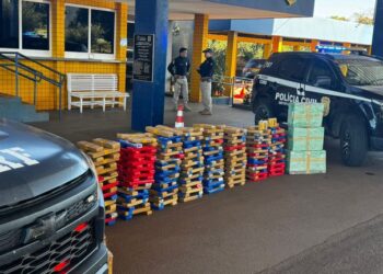 PRF e Polícia Civil do DF apreendem mais de 400 kg de maconha na BR-364, em Jataí