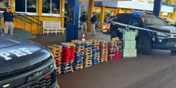 PRF e Polícia Civil do DF apreendem mais de 400 kg de maconha na BR-364, em Jataí