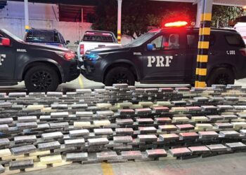 Com mais de 24 mil quilos apreendidos, PRF registra aumento das apreensões de cocaína