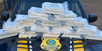 PRF em Rondônia apreende quase 33 kg de maconha em ônibus