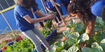 Governo de RO amplia ações de educação ambiental e reforça combate às queimadas com quase 10 mil pessoas alcançadas