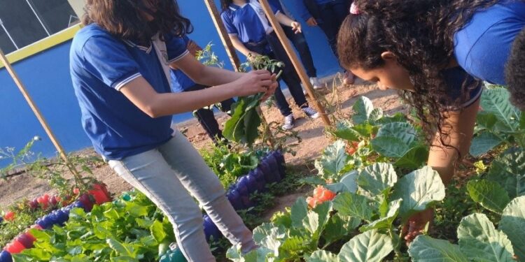 Governo de RO amplia ações de educação ambiental e reforça combate às queimadas com quase 10 mil pessoas alcançadas