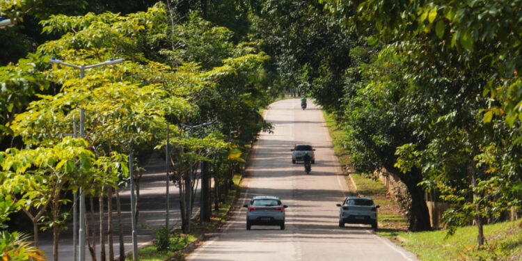 Licenciamento de veículos com placa final 7 vence dia 31 de julho, em Rondônia