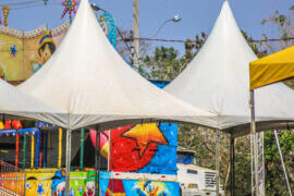 FLOR DO MARACUJÁ: Reta final dos preparativos para a maior festa cultural de Rondônia