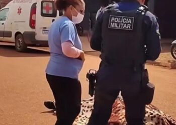 Homem foi morto a tiros em distrito de Porto Velho
