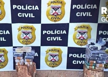 POLÍCIA CIVIL INCINERA MAIS DE 20 KG DE ENTORPECENTES