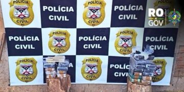 POLÍCIA CIVIL INCINERA MAIS DE 20 KG DE ENTORPECENTES