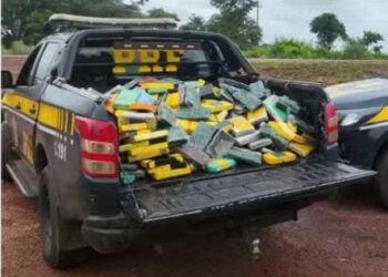 9 anos:Homem flagrado com mais de 300 kg de drogas é condenado em Guajará