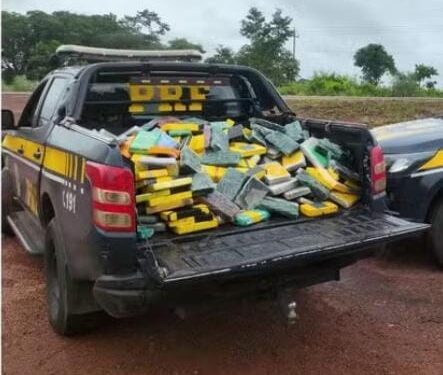 9 anos:Homem flagrado com mais de 300 kg de drogas é condenado em Guajará