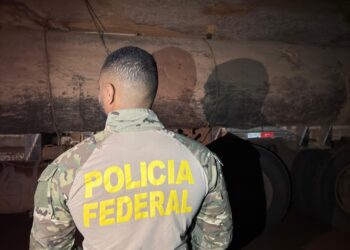 PF faz prisões por transporte ilegal de madeira