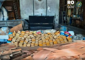 POLÍCIA CIVIL DE RONDÔNIA INCINERA MAIS DE MEIA TONELADA DE DROGAS EM VILHENA EM AÇÃO CONTRA O TRÁFICO