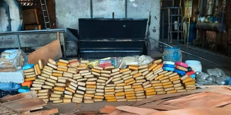POLÍCIA CIVIL DE RONDÔNIA INCINERA MAIS DE MEIA TONELADA DE DROGAS EM VILHENA EM AÇÃO CONTRA O TRÁFICO