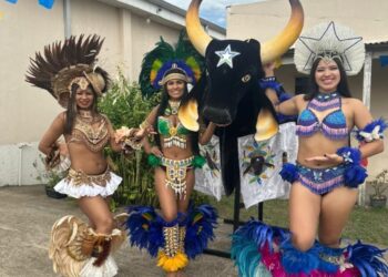 Boi-Bumbá Estrela de Rondônia: a força de um sonho coletivo que estreia no Arraial Flor do Maracujá 2025