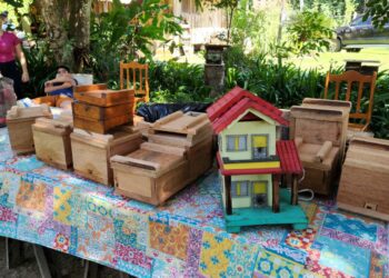 Porto Velho sedia o 1º Workshop da Amazônia Ocidental sobre Meliponicultura com foco em produção sustentável