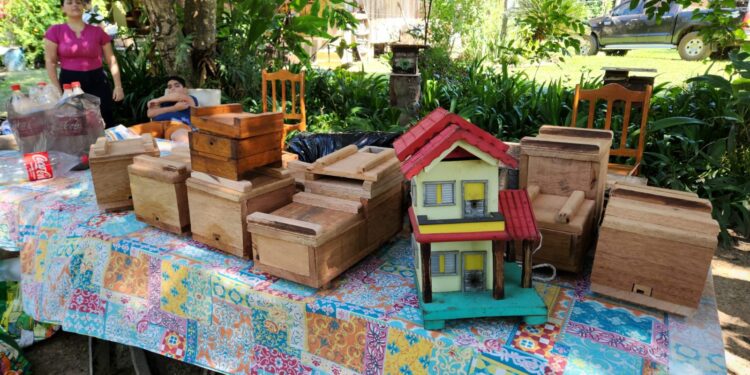 Porto Velho sedia o 1º Workshop da Amazônia Ocidental sobre Meliponicultura com foco em produção sustentável